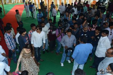 Bengal Tiger Movie Opening